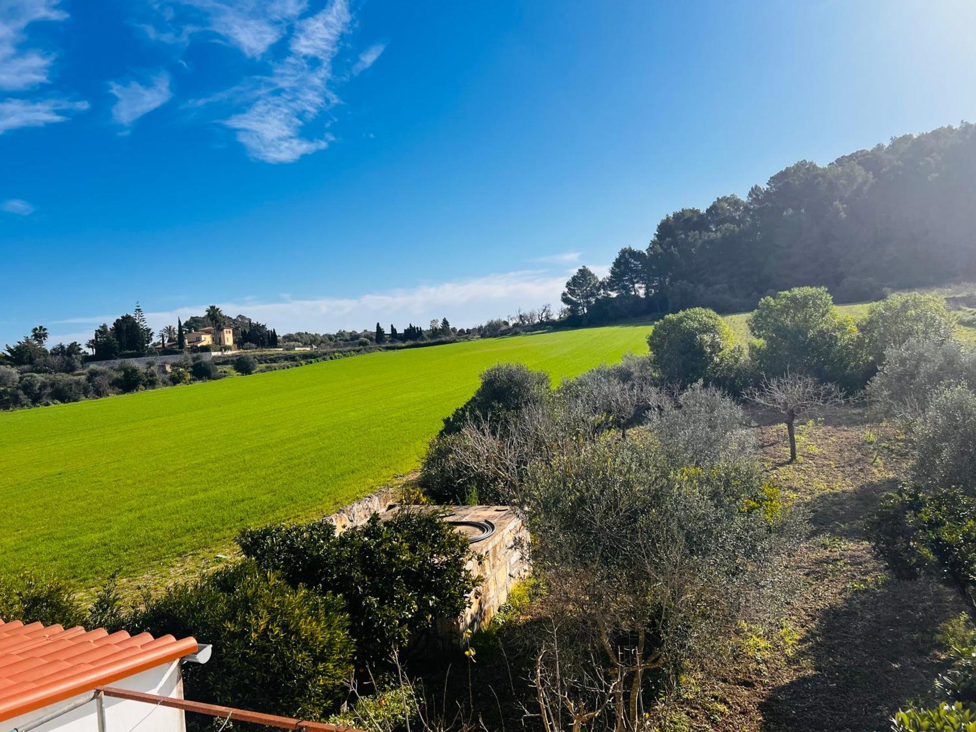 Es Puig Villa Santa Margalida Kültér fotó