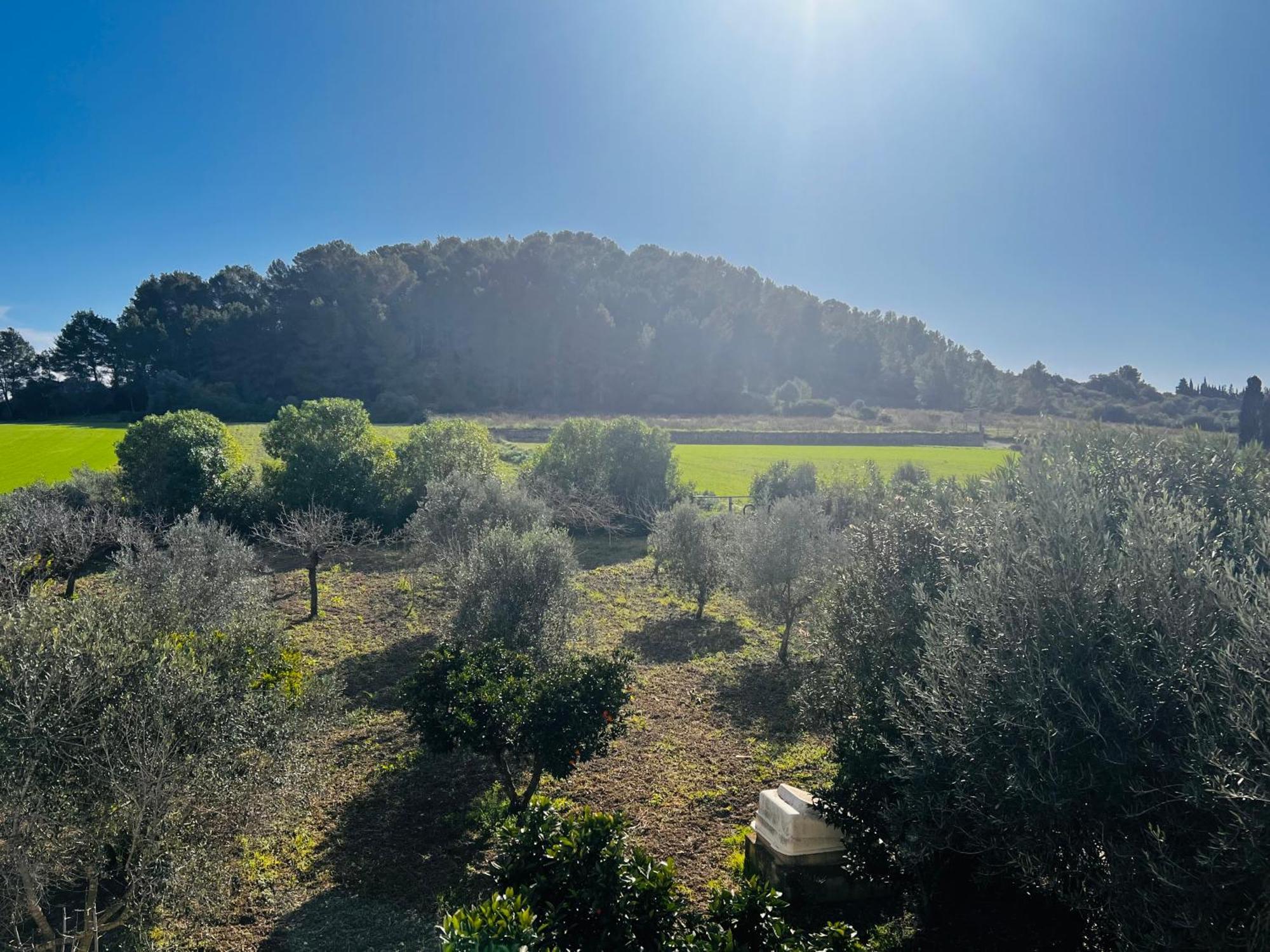 Es Puig Villa Santa Margalida Kültér fotó
