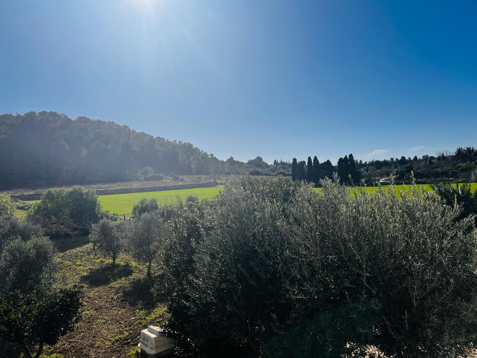 Es Puig Villa Santa Margalida Kültér fotó