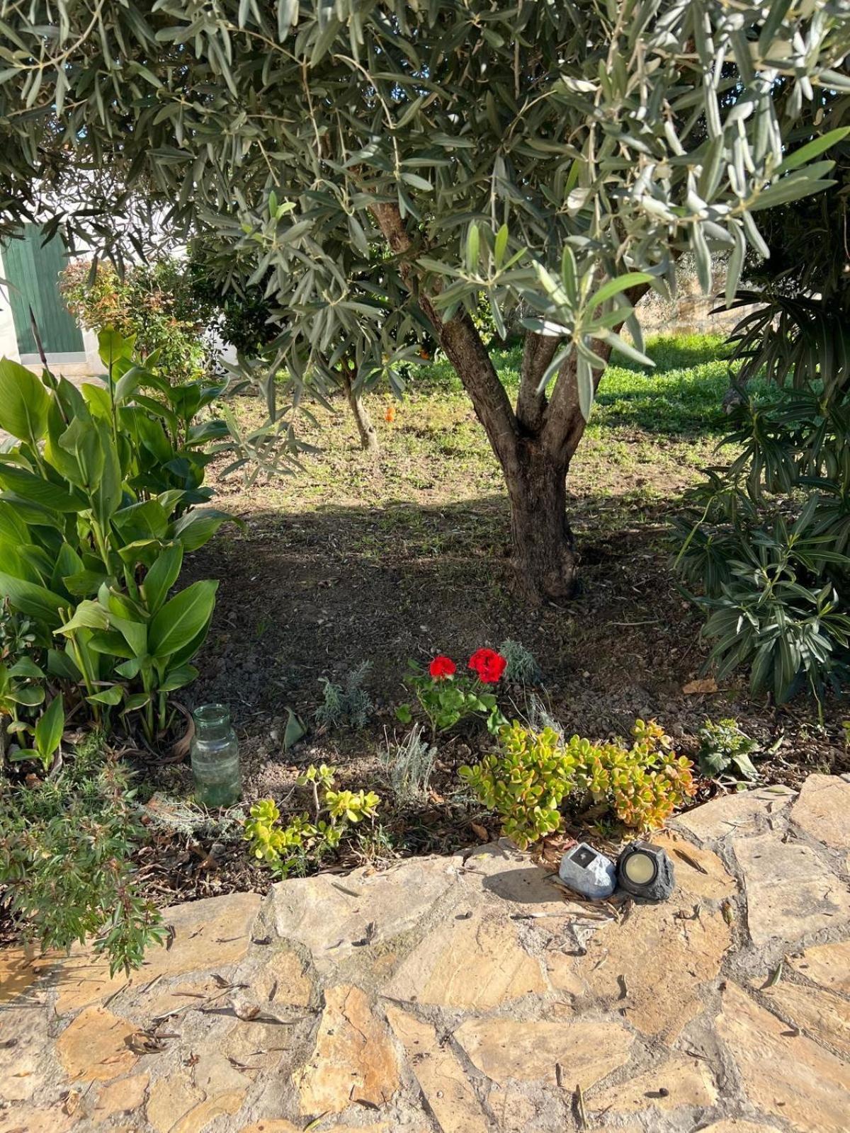Es Puig Villa Santa Margalida Kültér fotó